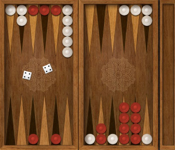 Общий вид игры в дилнные нарды